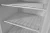 Fagyasztószekrény fehér festett acél házban, Arktic, Budget Line, Fehér, 230V/322W, 600x646x(H)1875mm