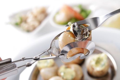 Csigafogó csipesz - 2 db, HENDI, 2 db., (L)170mm