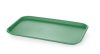 Polipropilén gyorséttermi tálca GN 1/1, AmerBox, GN 1/1, Zöld, 530x325x(H)20mm