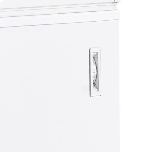 FR305 SLIce Cream Freezer, Solid Lid