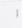 FR305S SLIce Cream Freezer, Solid Lid