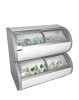 TD500Two Level Display Freezer