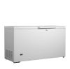 EBC53Chest cooler