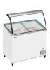 IC301SCE+SOScoop Ice Cream Freezer