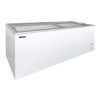 IDA600-W1Ice Cream Freezer