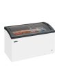 FOCUS 131Ice Cream Freezer