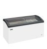 FOCUS 151Ice Cream Freezer